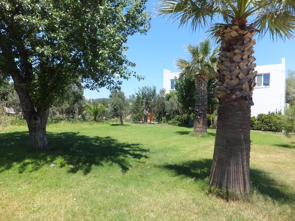 Aytas Hotel Ayvalı Buitenkant foto